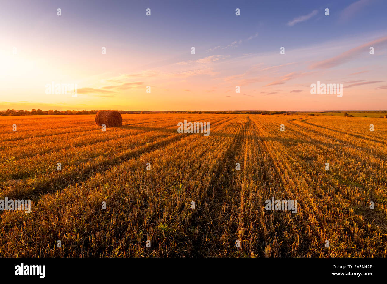 Scene of sunset on the field with haystacks in Autumn season. Rural ...