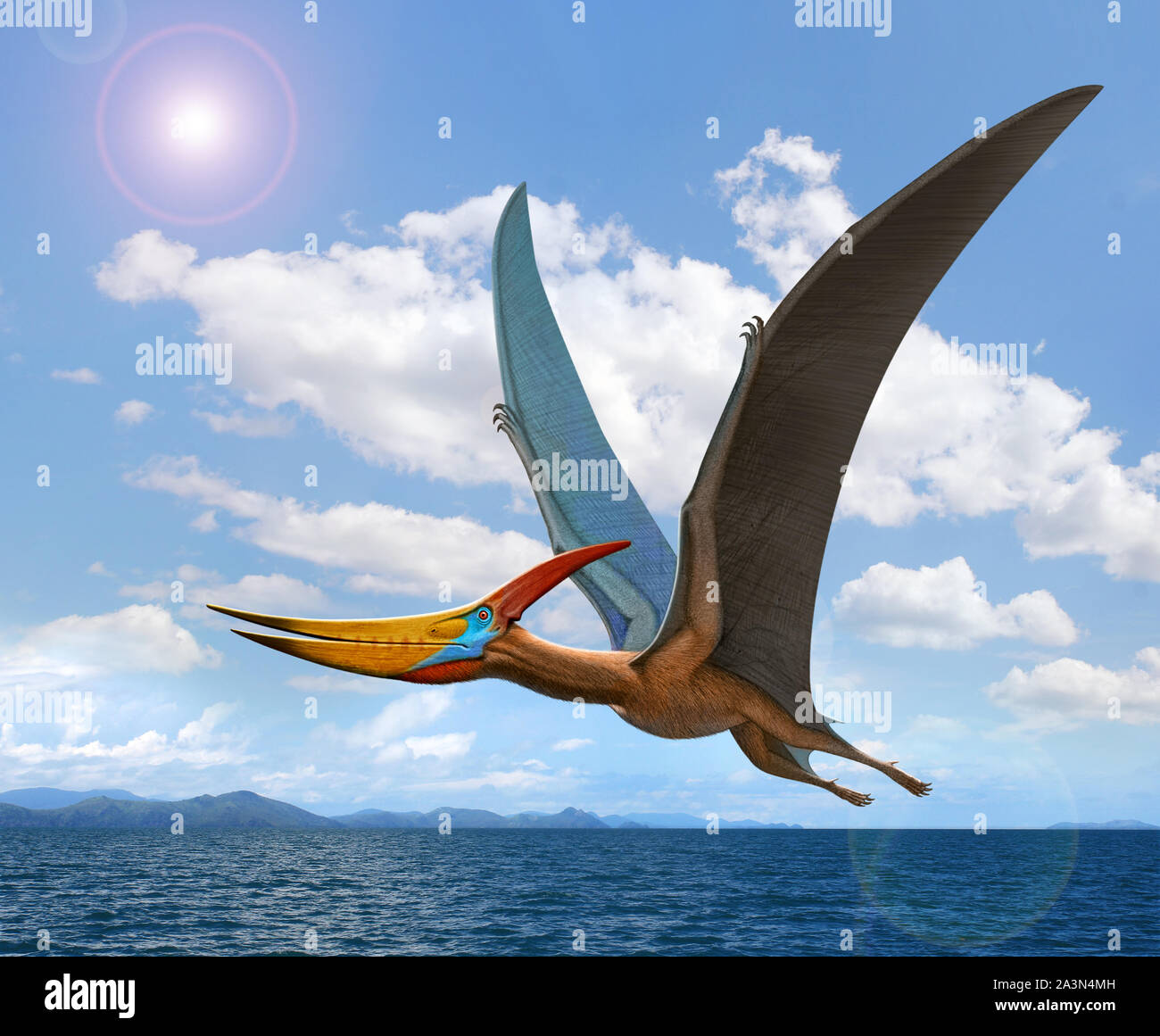 Pteranodon flying over the sea Stock Photo