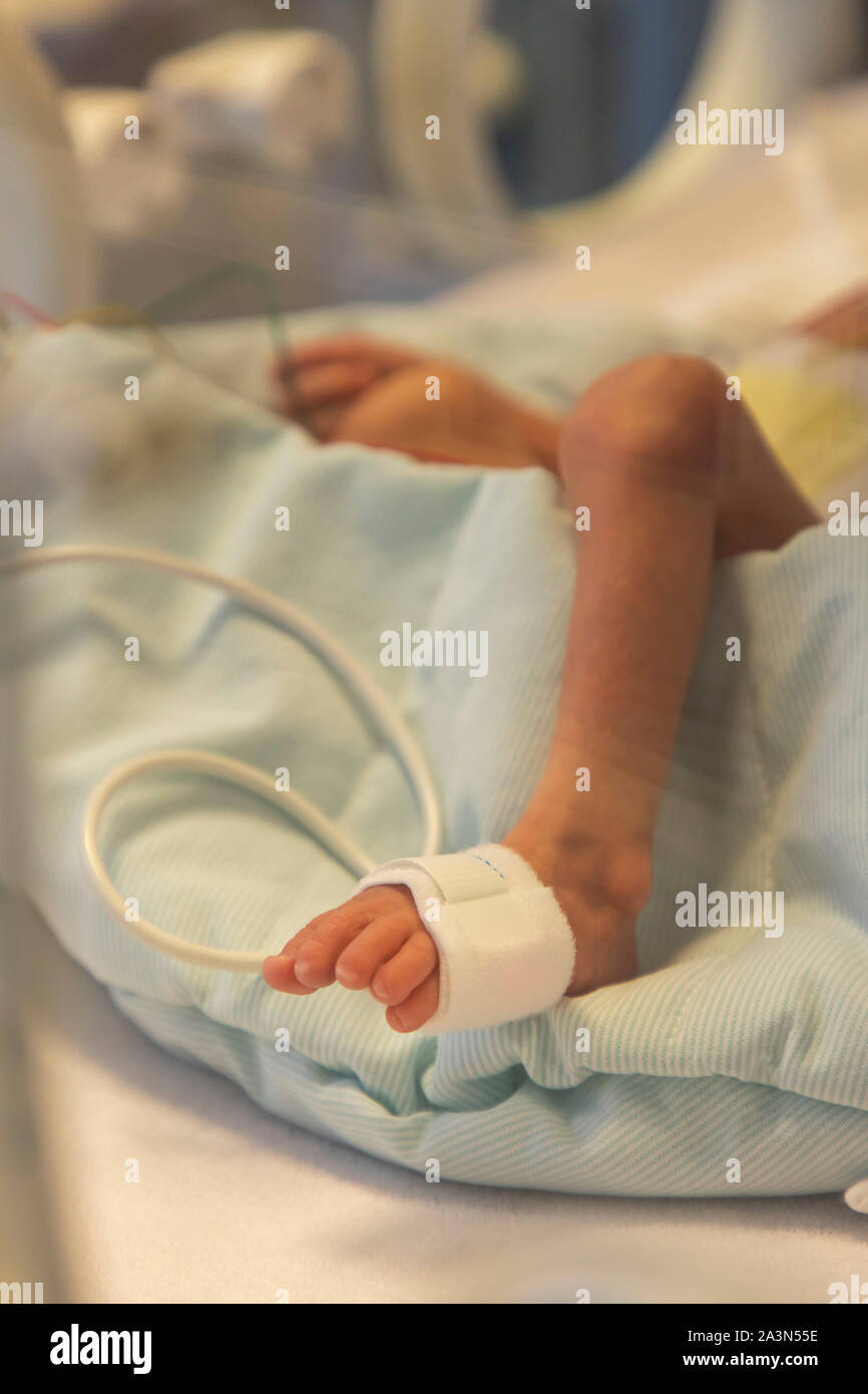 Premature birth ward in a hospital, neonatology department, premature infants in an incubator, Stock Photo