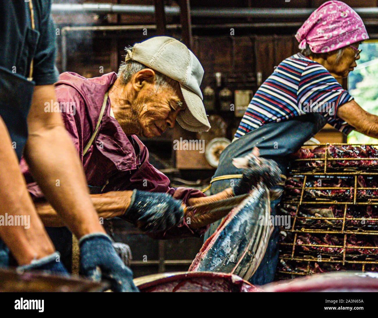 At well over 80 years of age, Mr. Serizawa is still at work. Here he is cutting up fish. Namagiri is the name of this step in which the small tuna species bonito is cut and the innards are removed.Y asuhisa Serizawa's Katsuobushi Manufacture in Nishiizu-Cho, Shizuoka, Japan Stock Photo