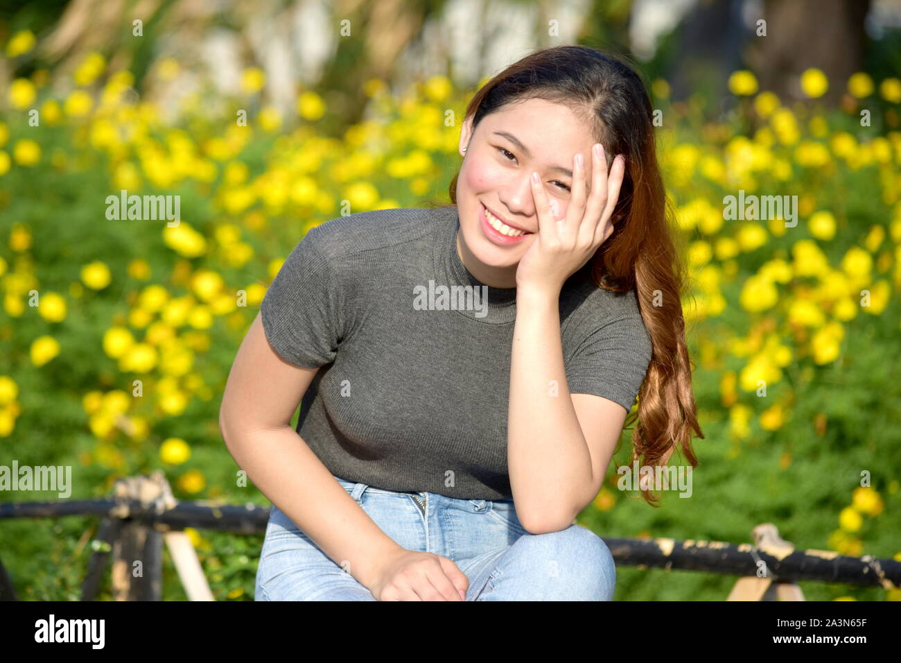 An Asian Adult Female Laughing Stock Photo