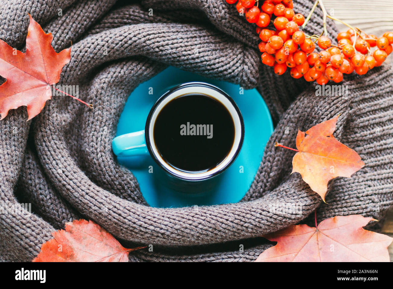 Autumn composition of autumn leaves and a Cup of coffee on a white ...