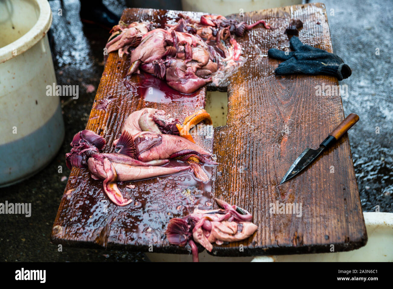 Yasuhisa Serizawa's Katsuobushi Manufacture in Nishiizu-Cho, Shizuoka, Japan Stock Photo
