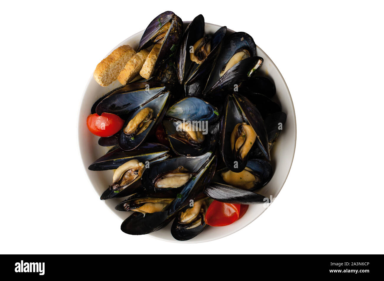Mussel soup or zuppa di cozze steamed in wine with tomatoes and crisp bread. Italian seafood