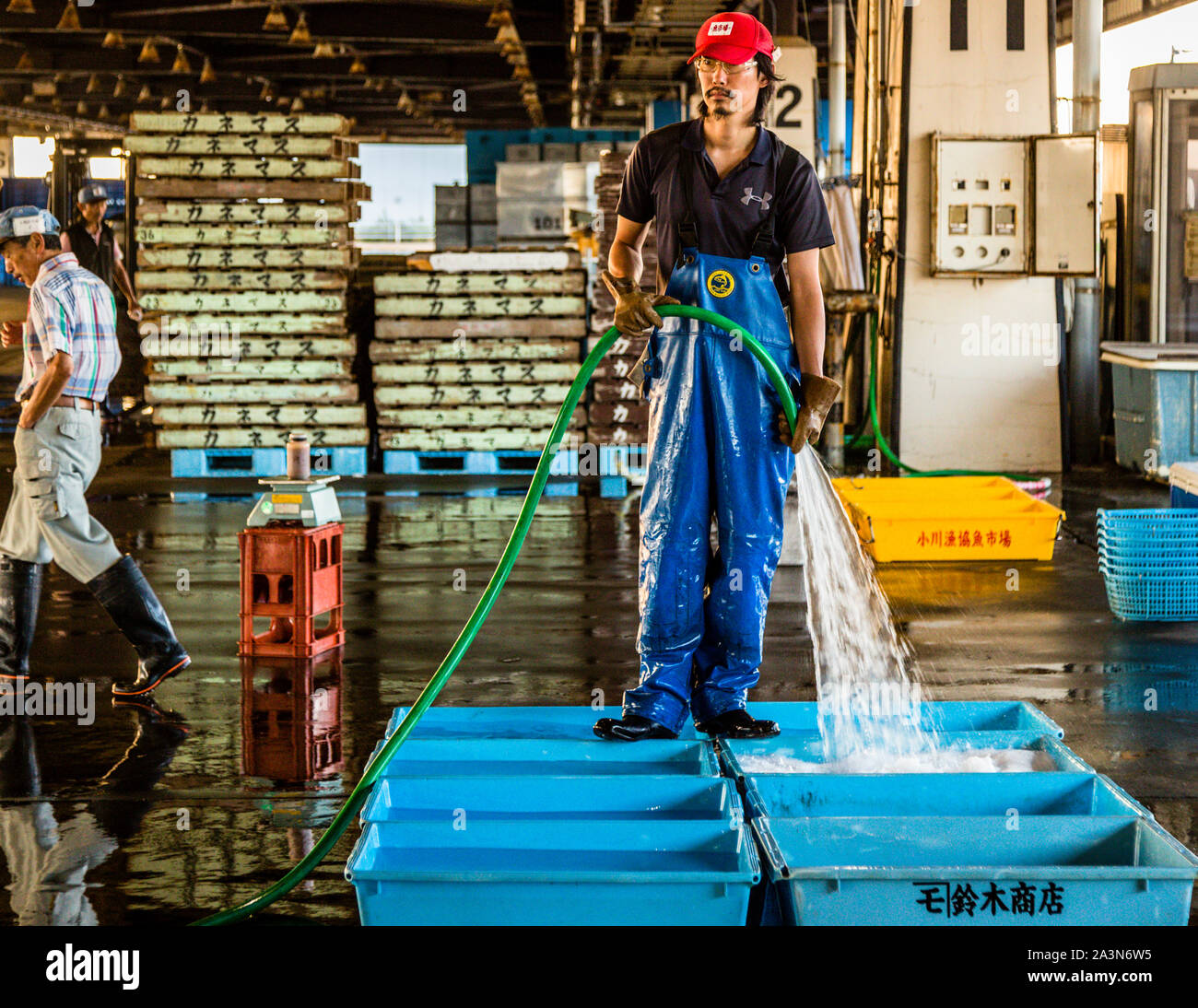 Fish Auction in Yaidu, Japan Stock Photo