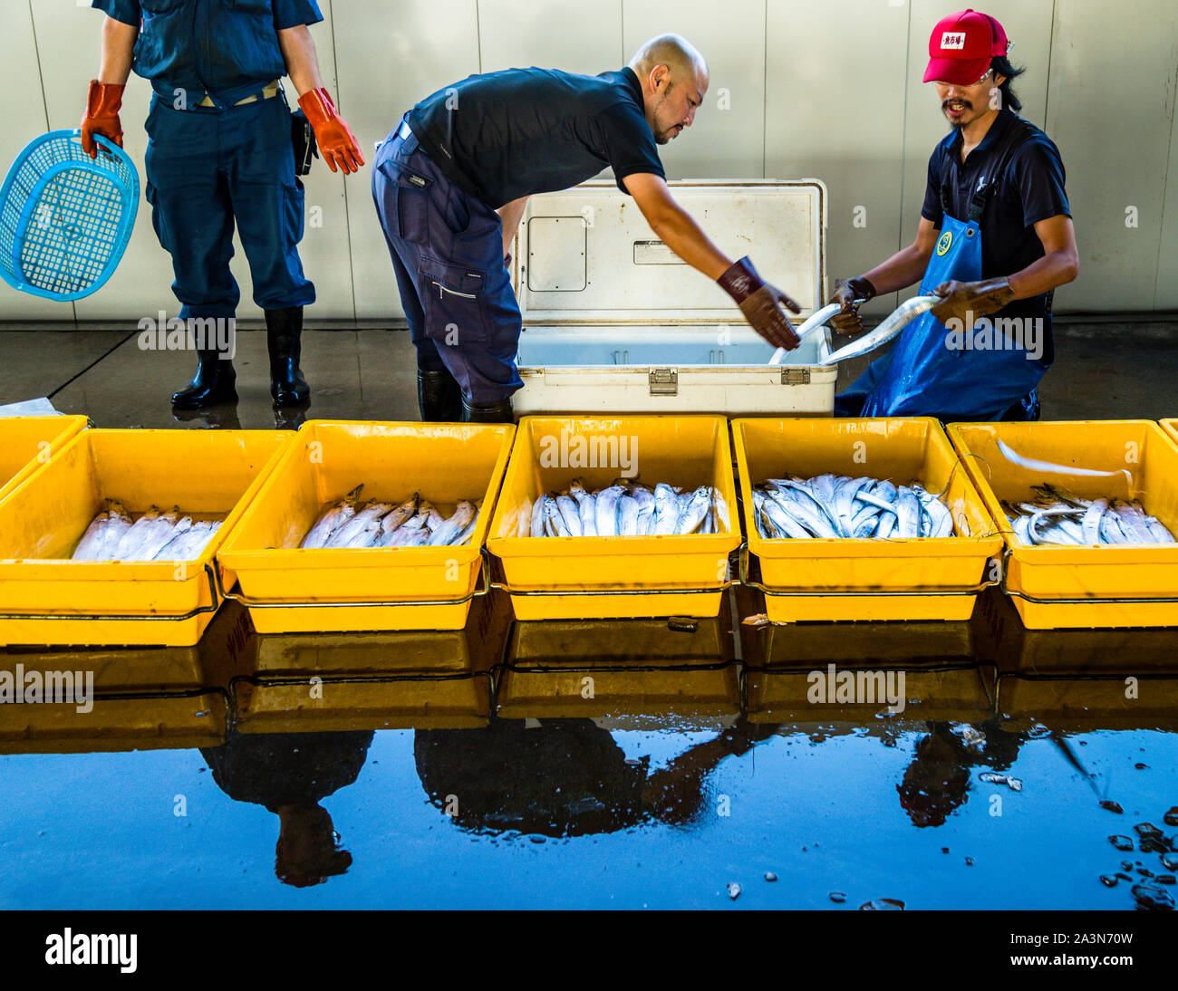 Fish Auction in Yaidu, Japan Stock Photo Alamy