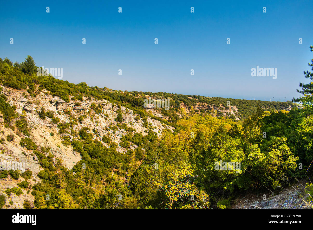 Stunning view of a valley surrounded by mountains, with green trees and ...