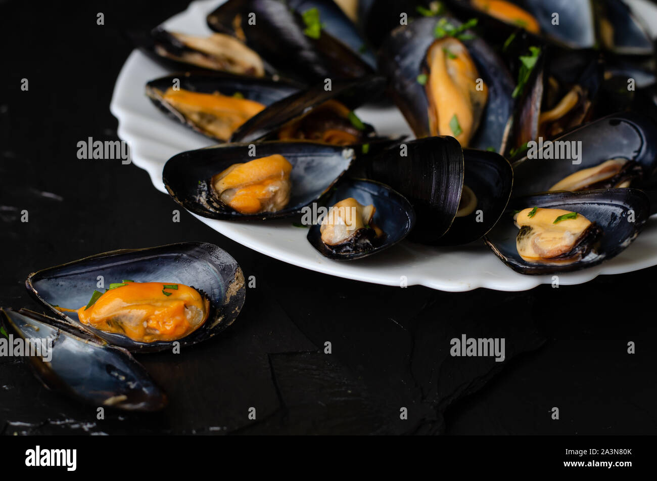 Healthy seafood eating concept. Steamed mussels on black background