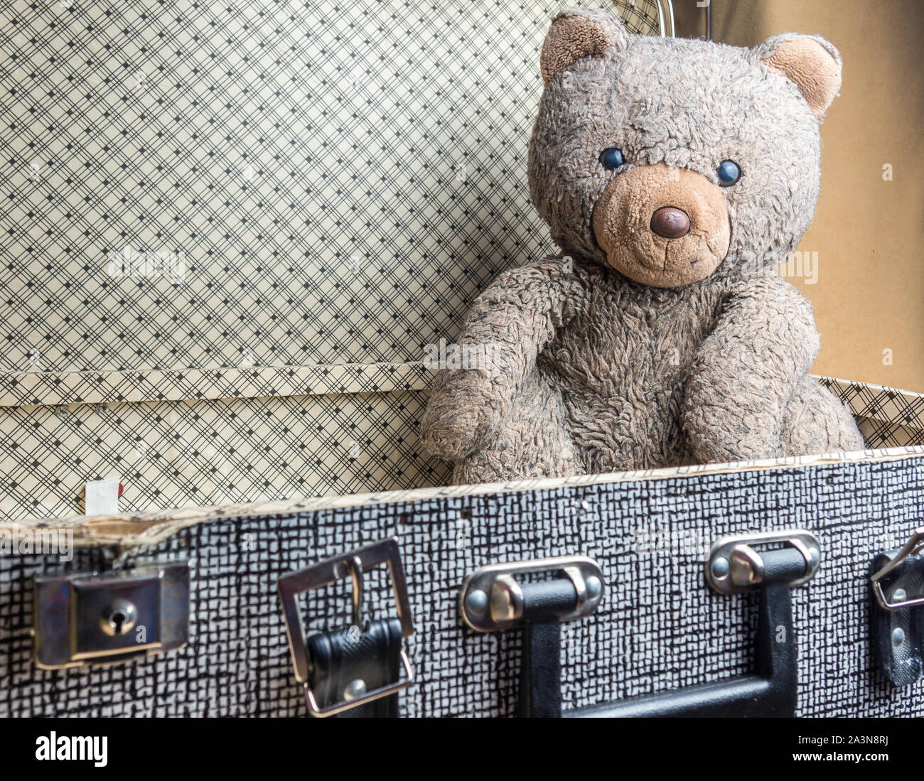 Teddy bear with suitcase Stock Photo Alamy