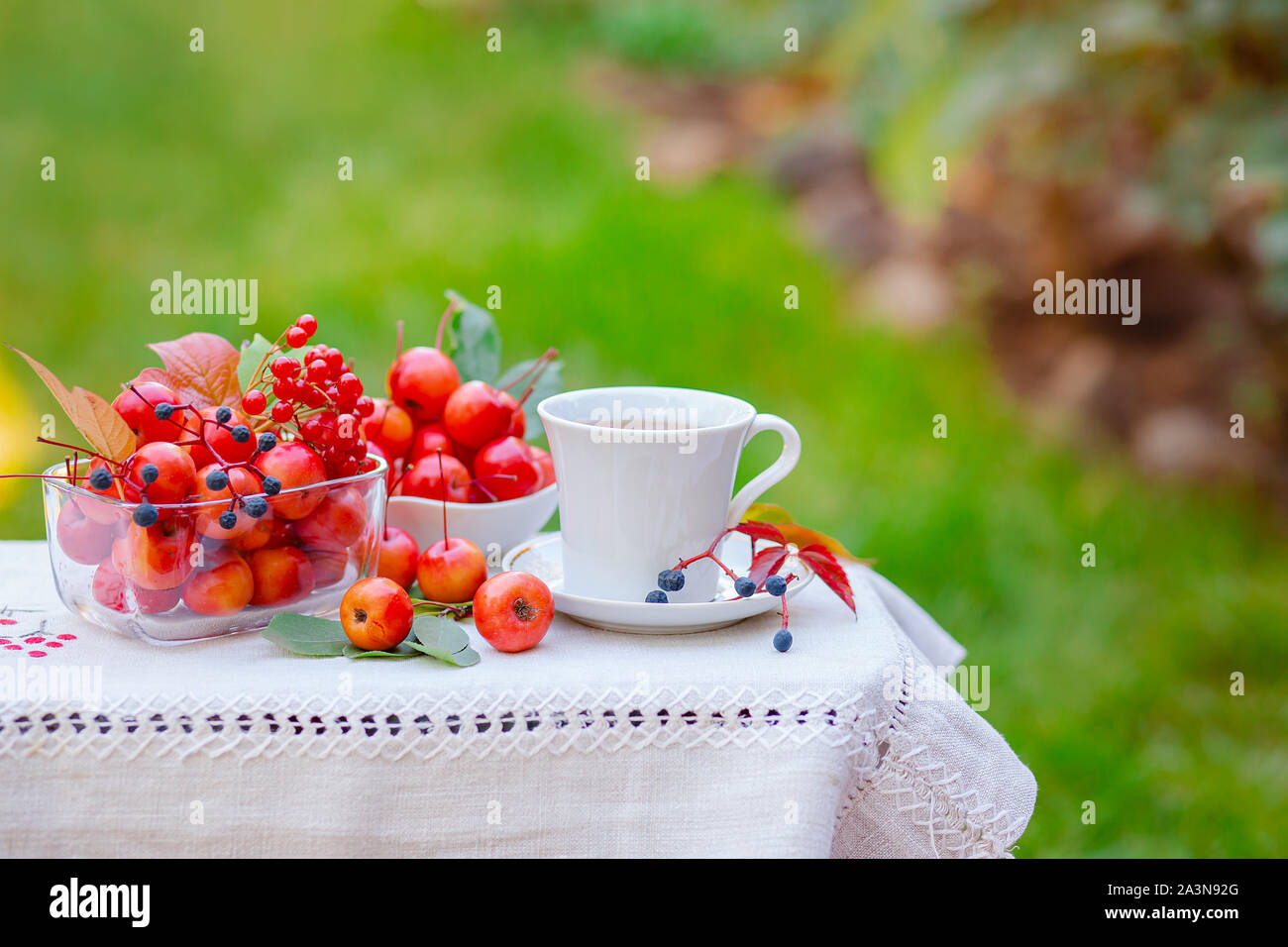 A white cup of hot tea with apples of paradise in the morning in the