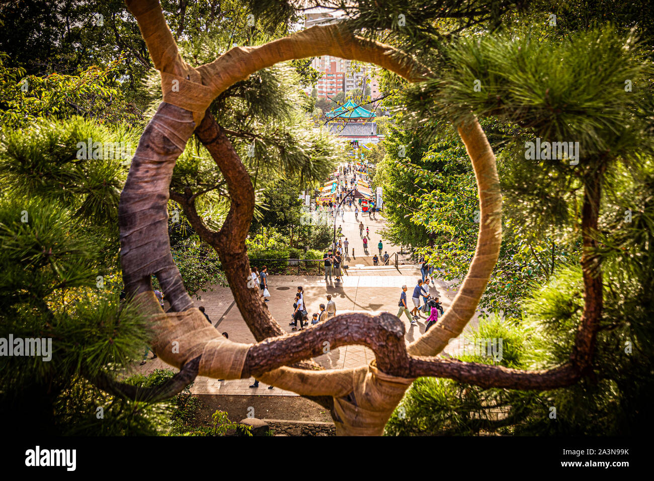 Tree formed by bandages in a Shrine in Tokyo Stock Photo