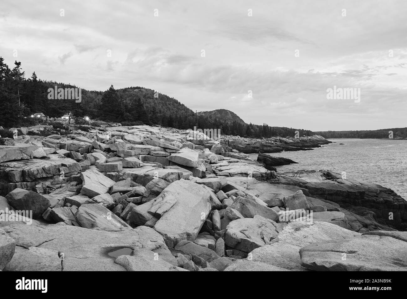 Rugged cliffs of Ocean Path along the shoreline of Acadia National Park