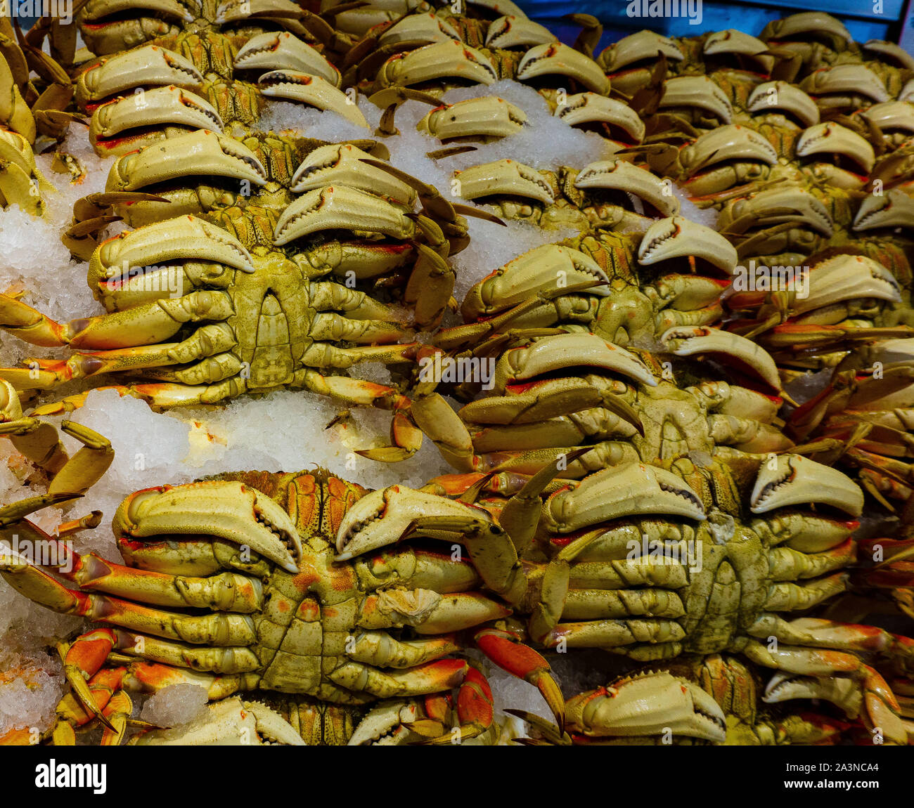 Alaskan crabs for sale at Pikes Place Market Stock Photo