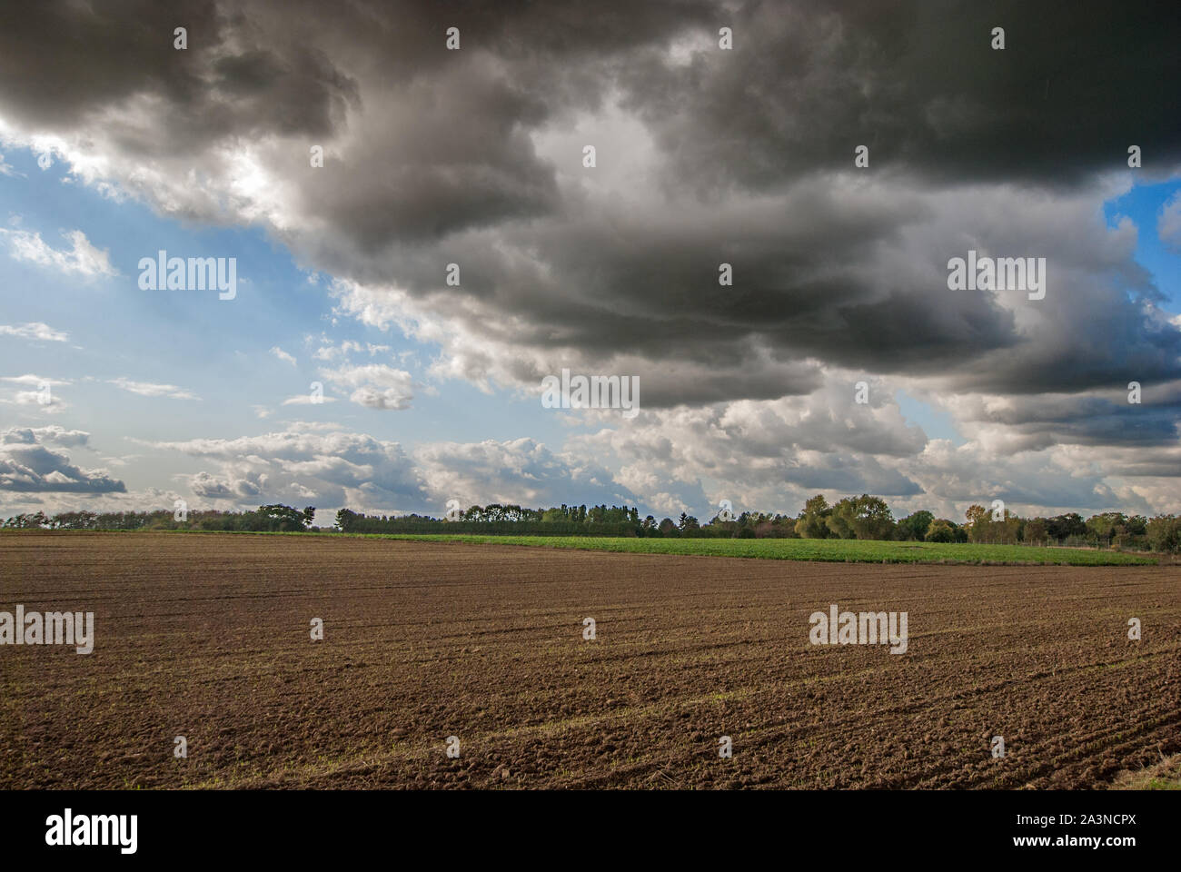 Dramatic rain clouds over a harvested field. Panoramic view. Stock Photo