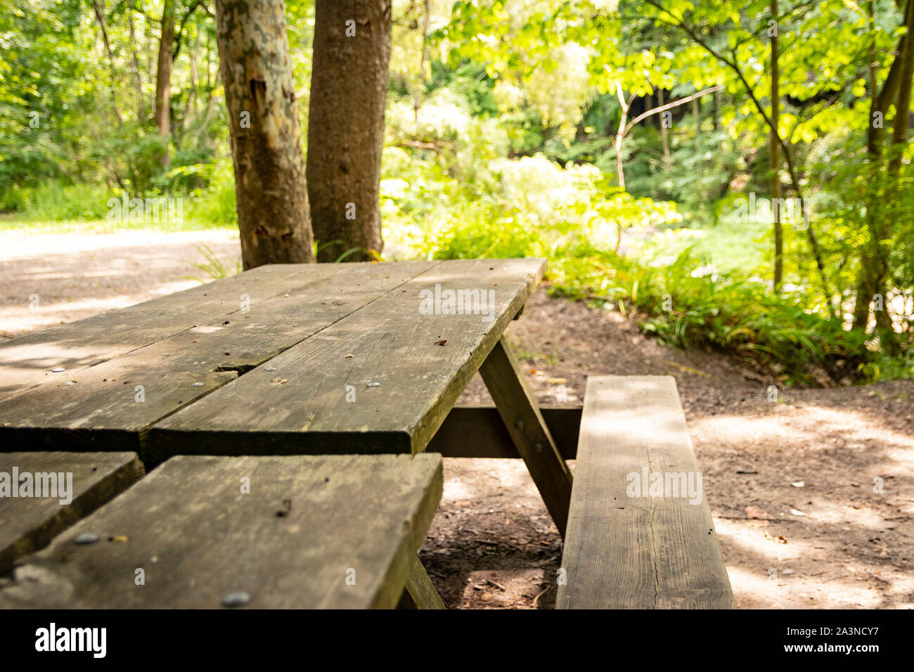 Wooden picnic table at recreational campsite or picnic site. Stock Photo