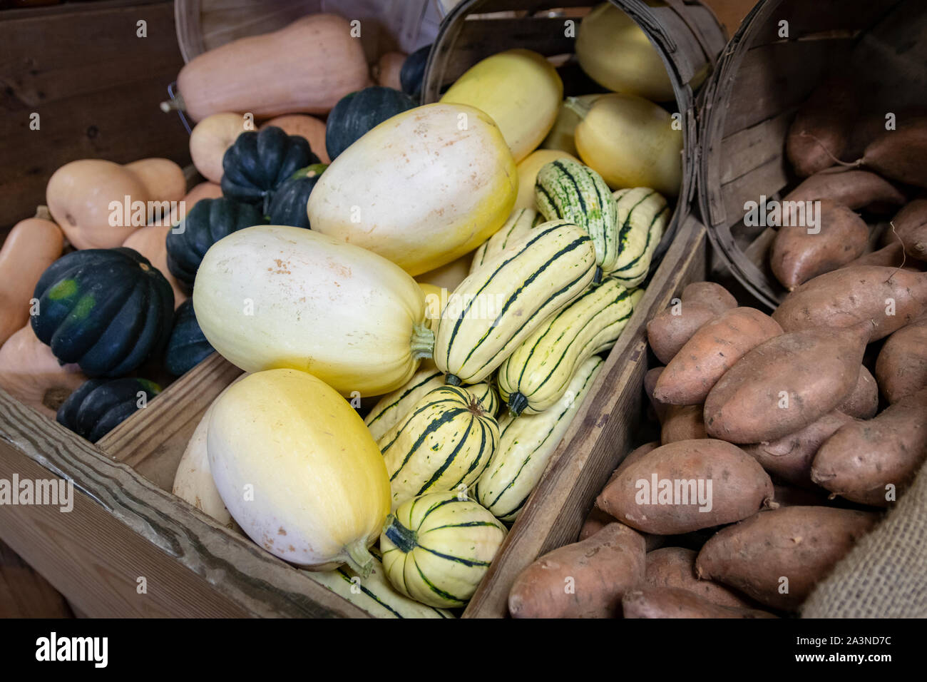 Various autumnal gourds, potatoes and squash in basket displays at farmer's market Stock Photo