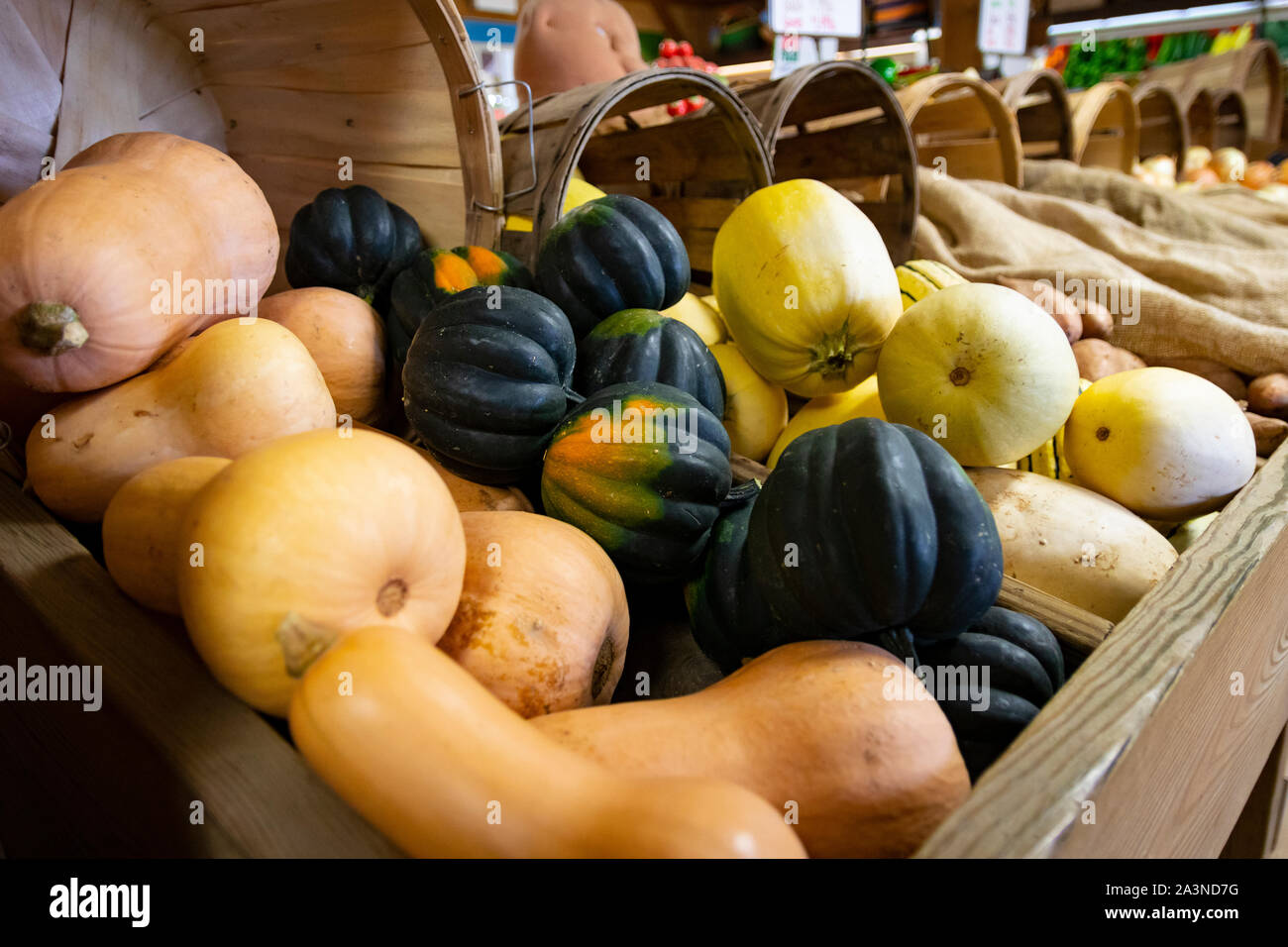 Various autumnal gourds and squash in basket displays at farmer's