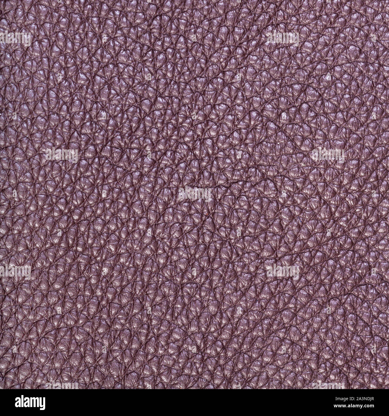 textured square background from purple brown leather close up Stock Photo