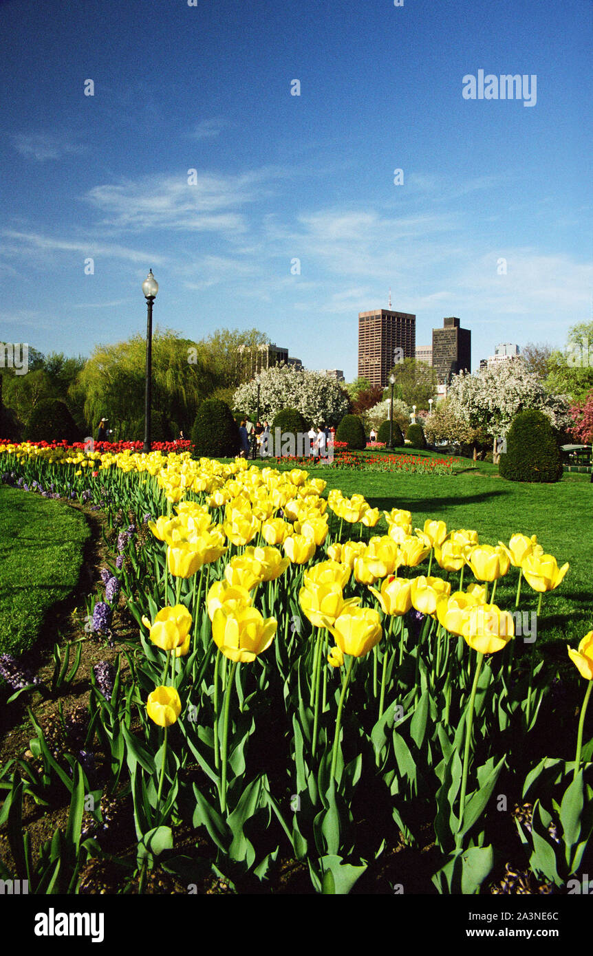 Boston Public Garden in spring - USA Stock Photo