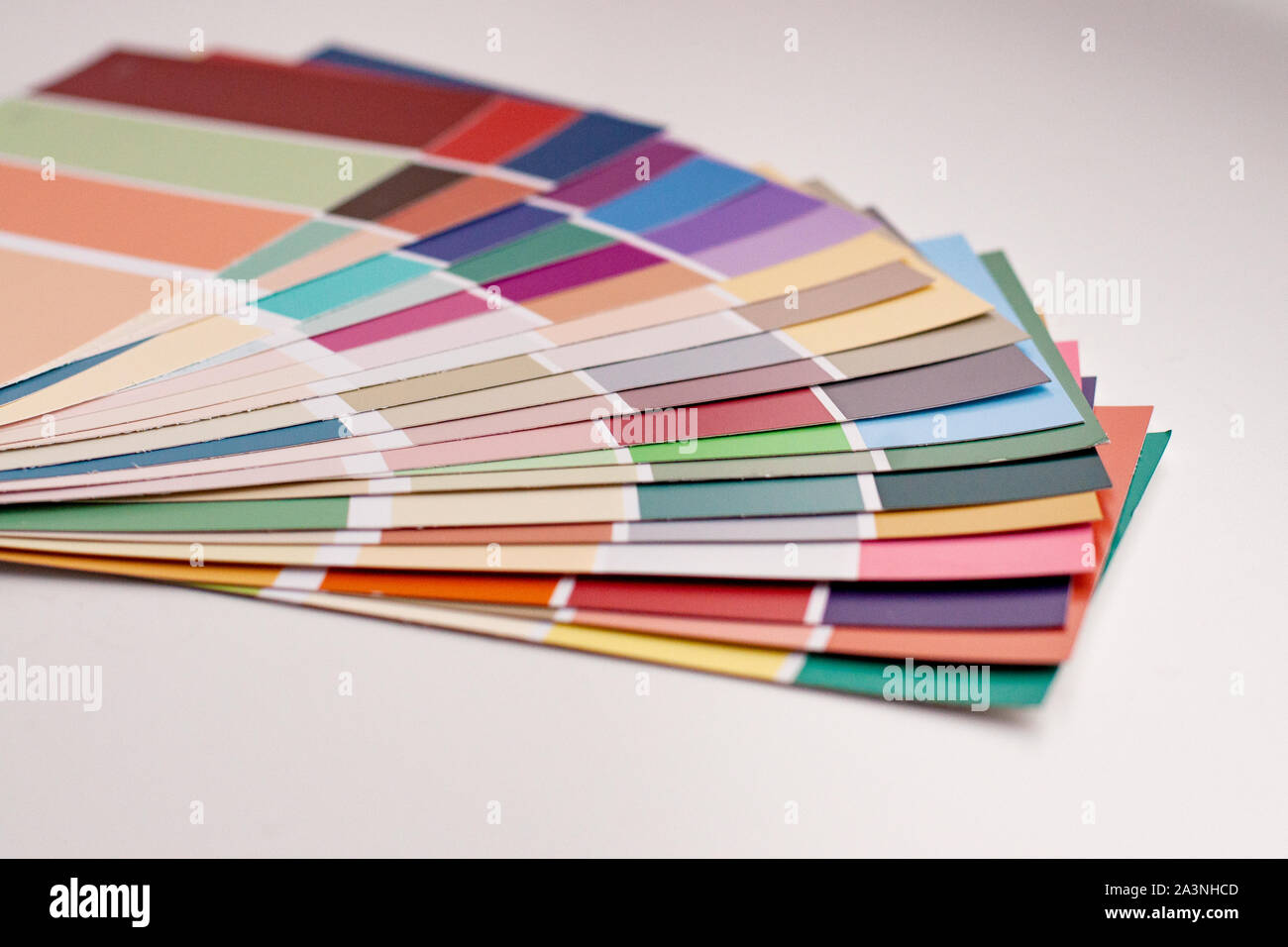 Color palette with various samples. Light background. Paint selection ...