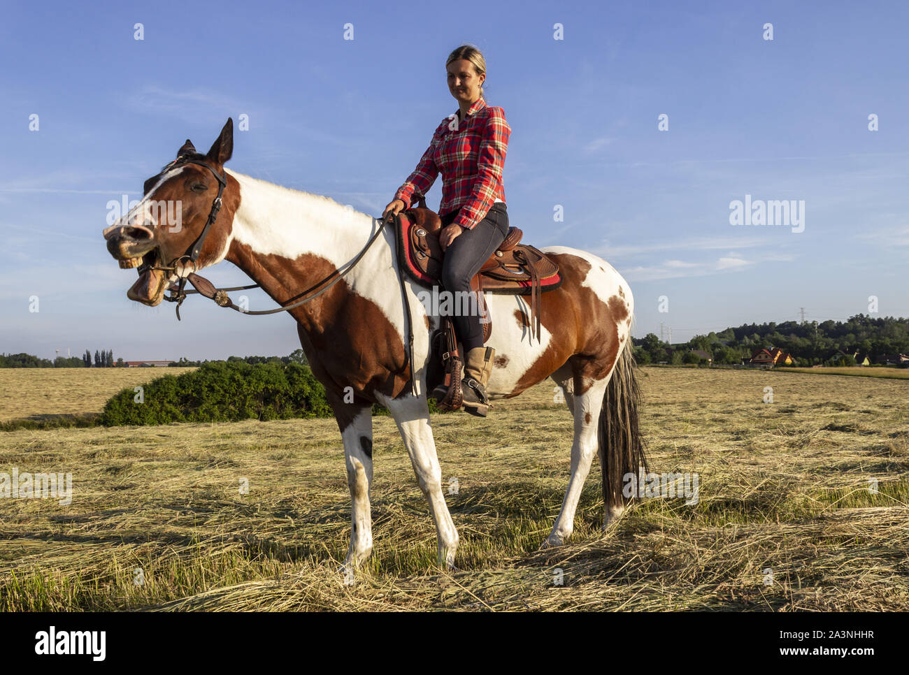 A young girl rides a horse on a pasture near a ranch and laughing horse ...