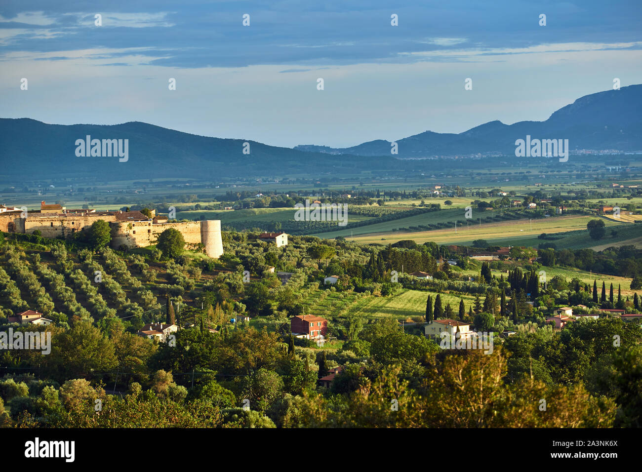 Italy Rural Fort Medieval fortified tower and rural landscape with olives in Tuscany ...