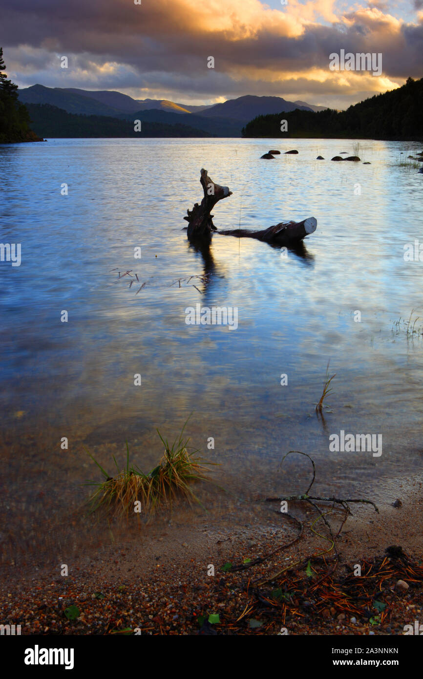 Dead Tree floating in Loch Affric in Beautiful evening light, Loch Affric, Inverness Shire, Highlands, Scotland, United Kingdom. Stock Photo