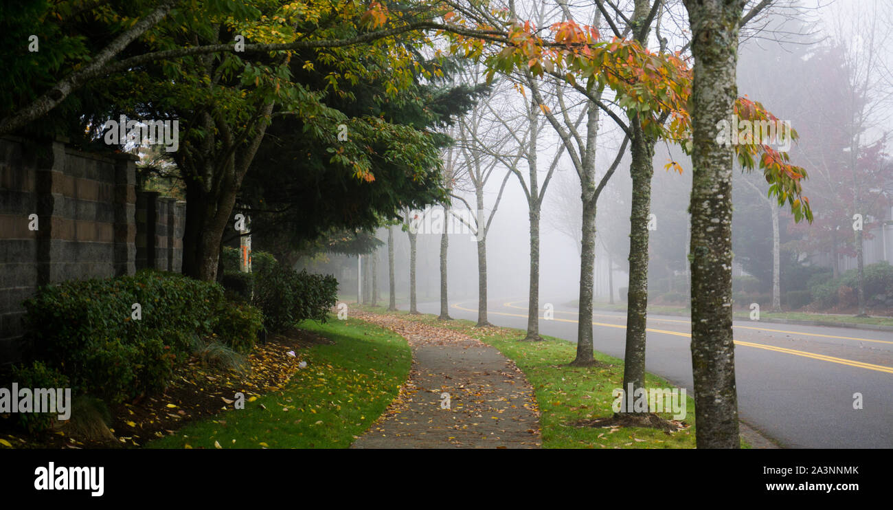 Morning mist with fall colors Stock Photo