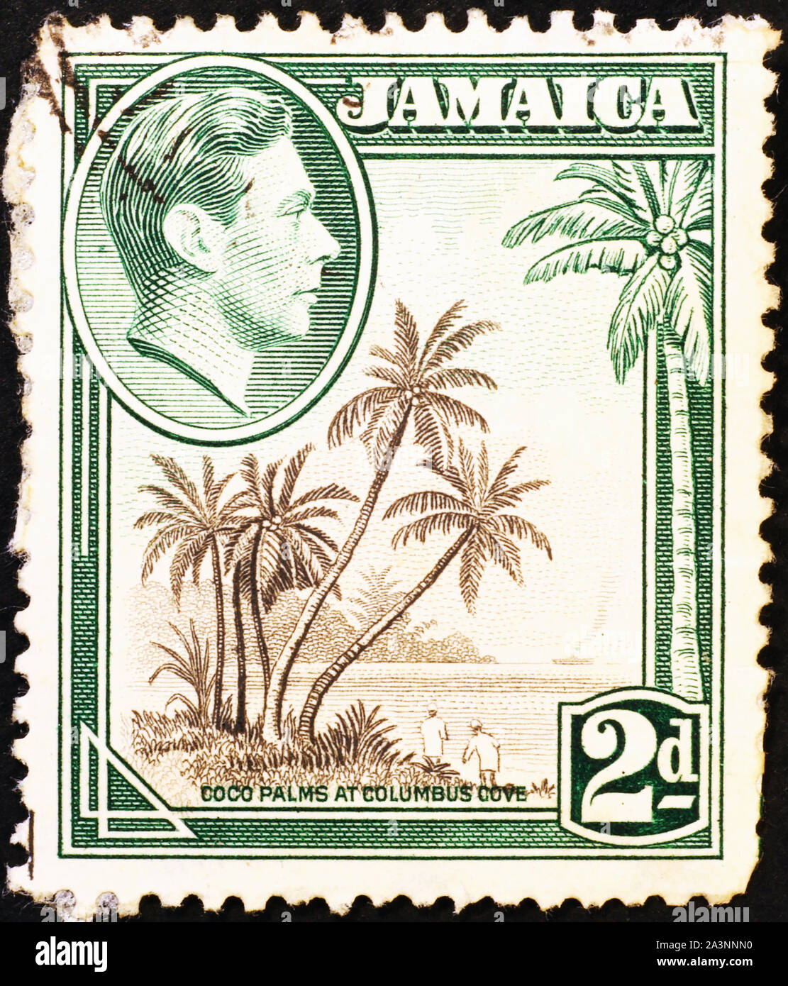 Bunch of palms on jamaican vintage stamp Stock Photo Alamy