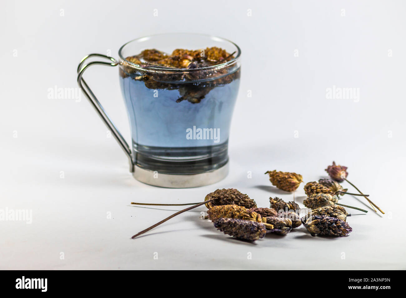 Natural Lavandula stoechas tea in cup Stock Photo - Alamy