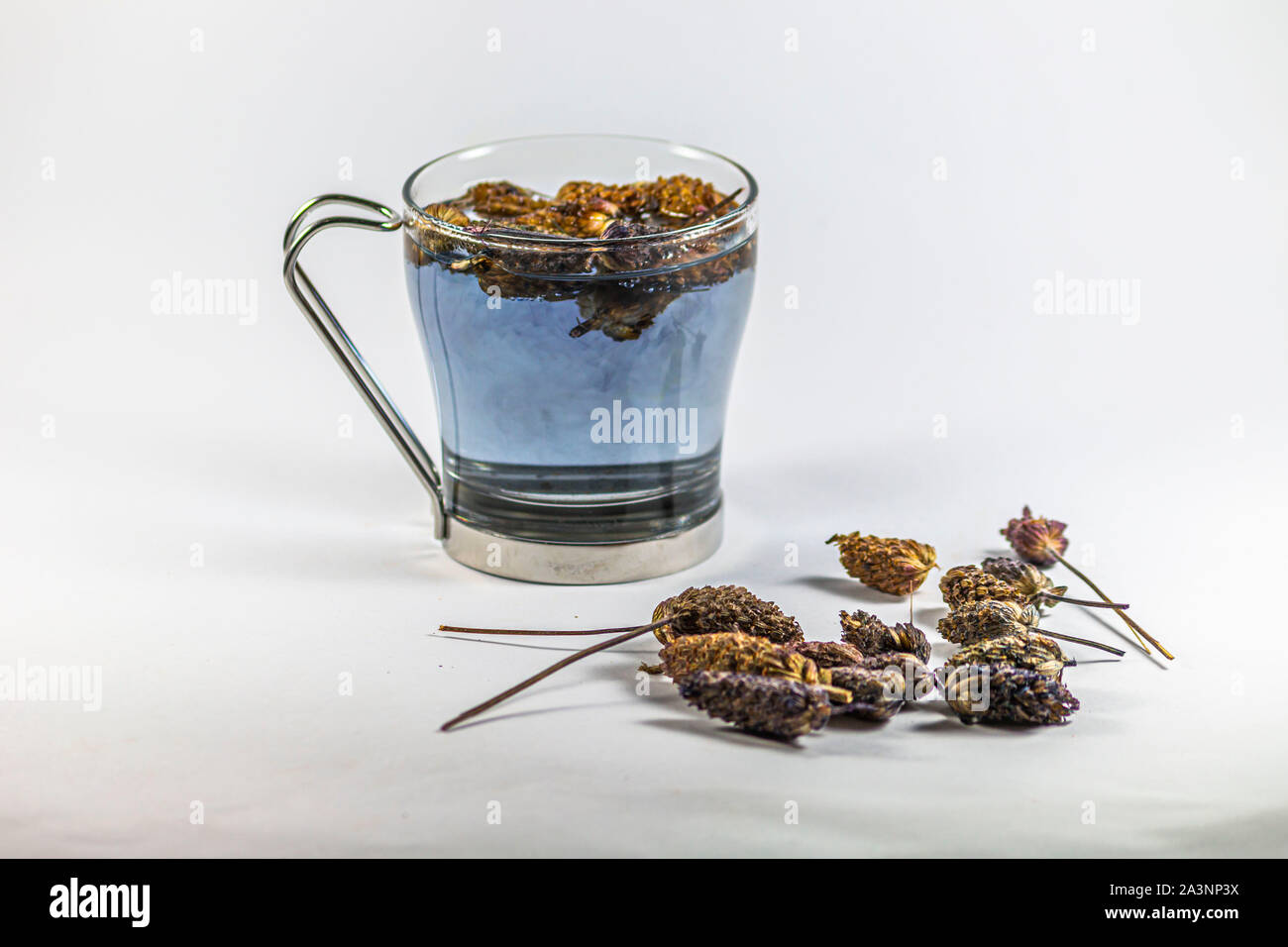 Natural Lavandula stoechas tea in cup Stock Photo