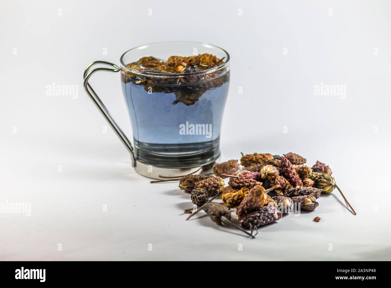 Natural Lavandula stoechas tea in cup Stock Photo