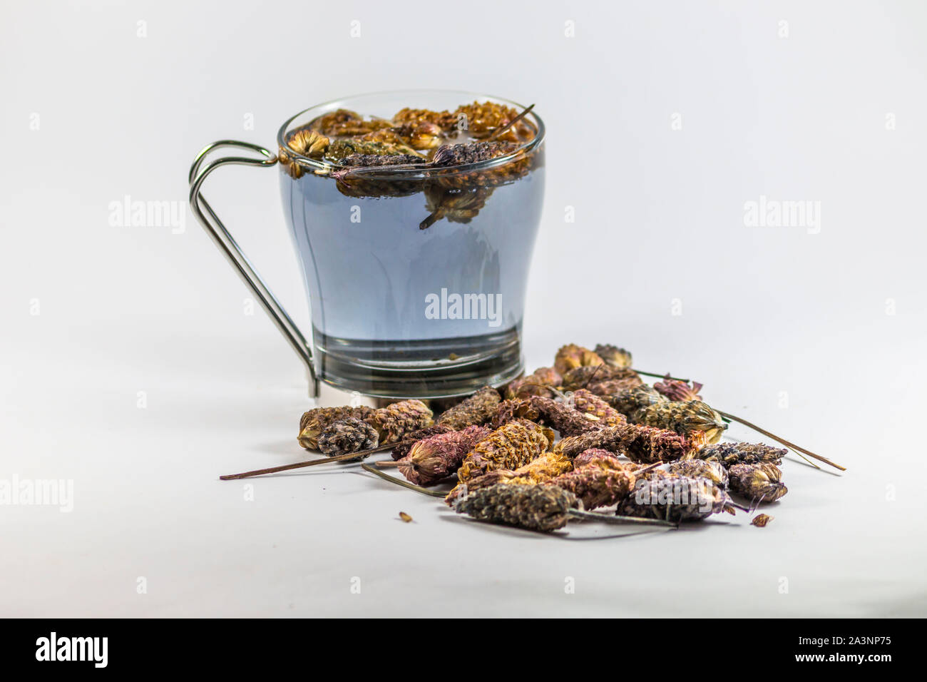Natural Lavandula stoechas tea in cup Stock Photo - Alamy