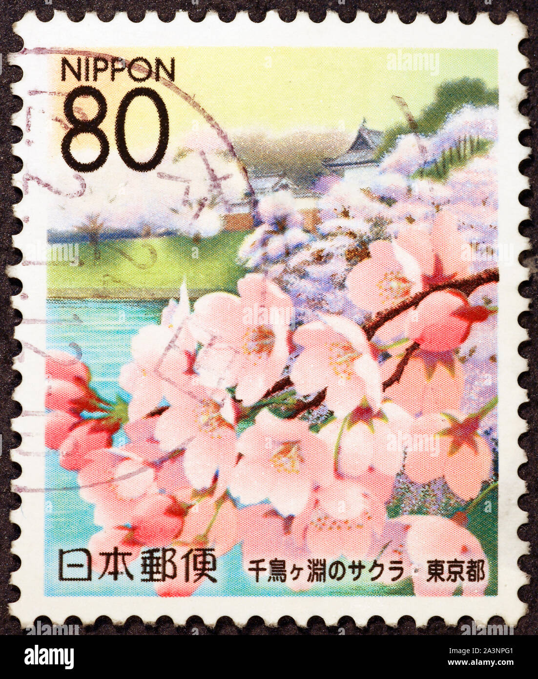 Pink cherry blossoms on japanese postage stamp Stock Photo - Alamy