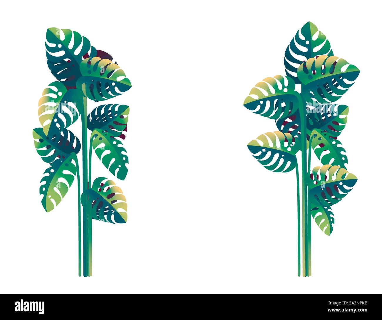 Tropical leaves floral design frame concept flat vector illustration on ...