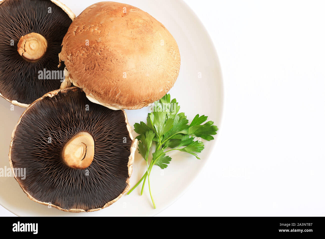 Fresh raw portobello mushrooms isolated on white background. Top view