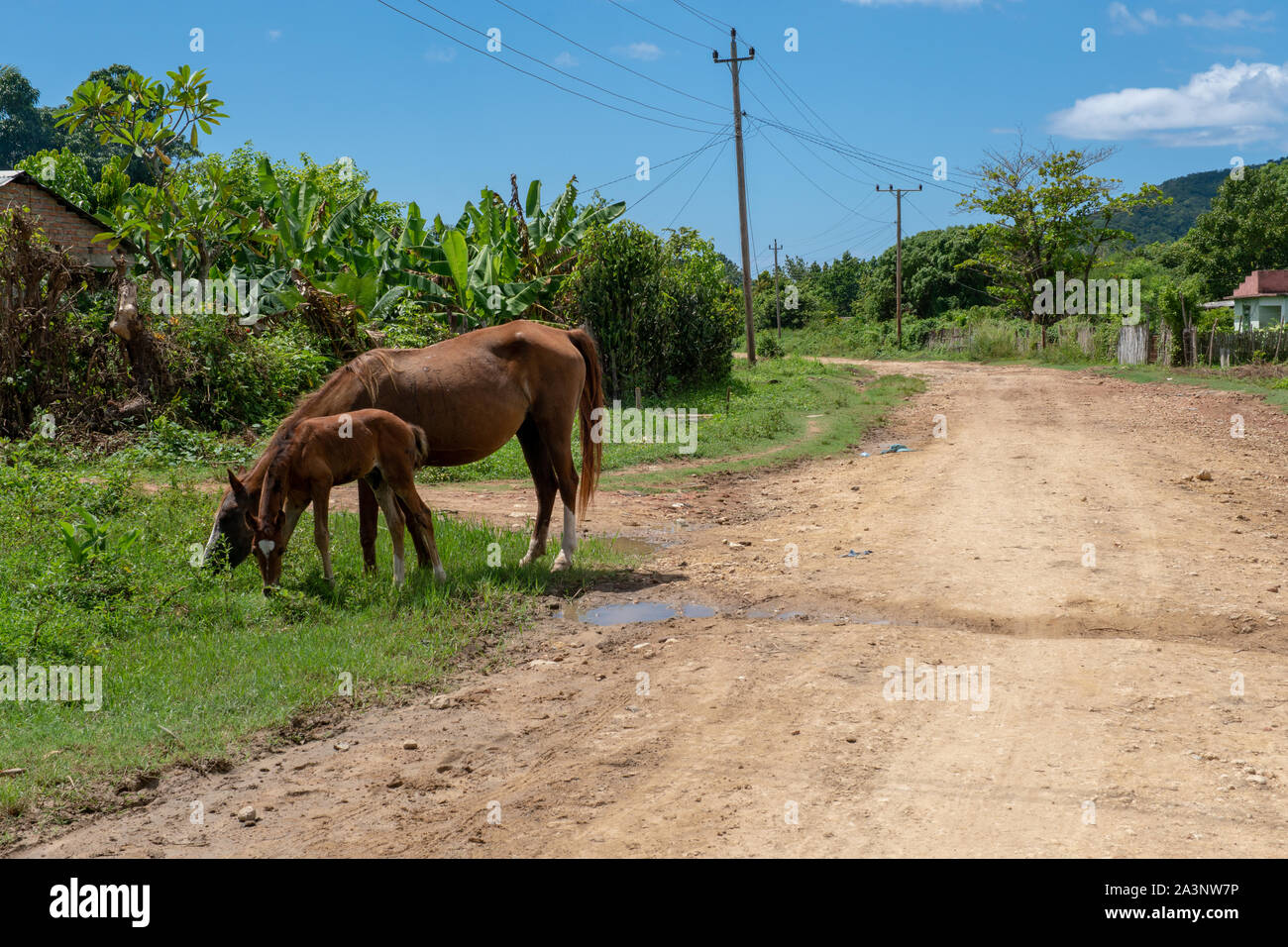 Rural scenery around the town of Trinidad de Cuba in October 2019 Stock Photo