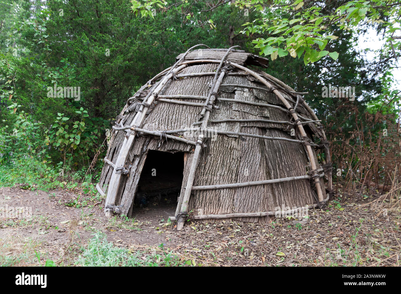 Lenape Indian wigwam shelter (reconstruction) made with tulip tree bark.  Inwood Hill Park, New York City. Stock Photo