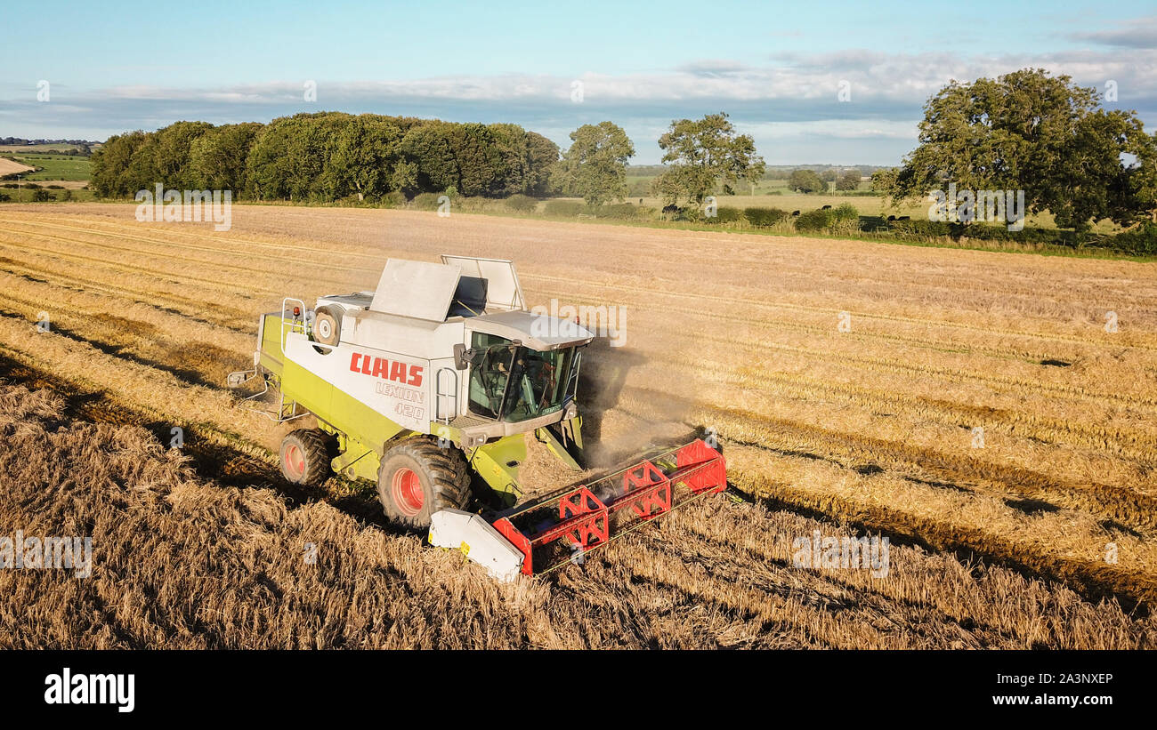 aerial drone view of combine harvester in Northumberland wheat fields ...