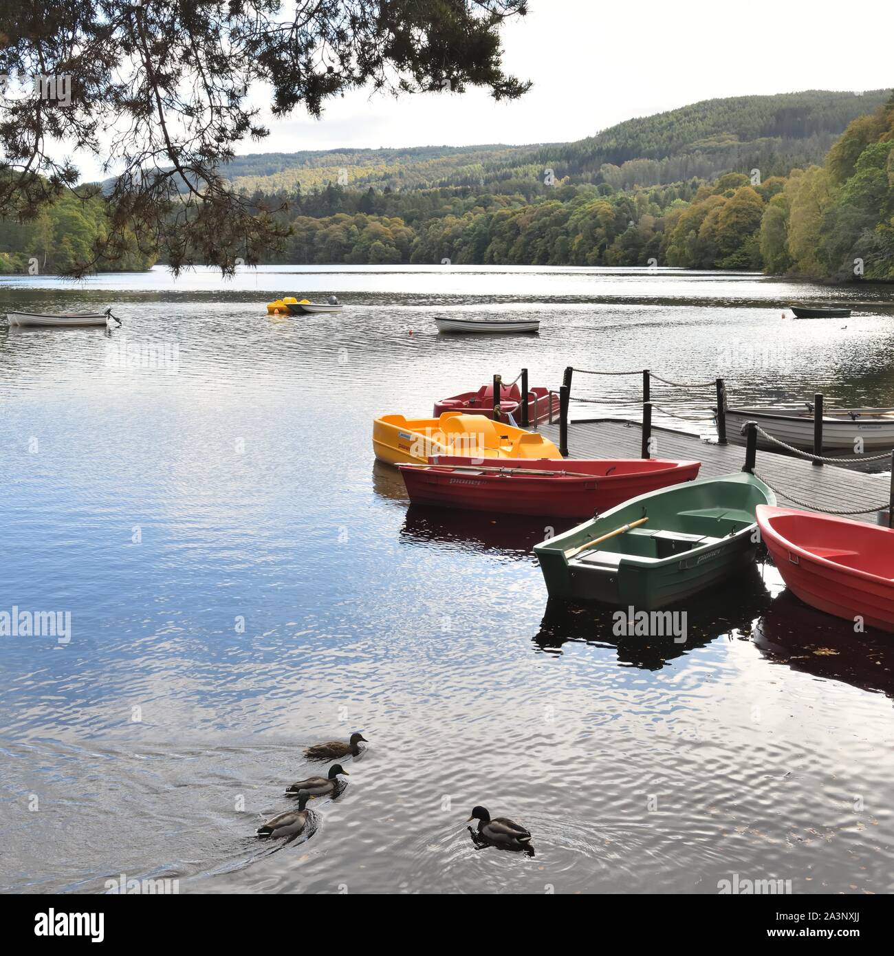The view of the river Tummel from the Pitlochry Boating Station & Adventure Hire in Scotland, UK, Europe Stock Photo