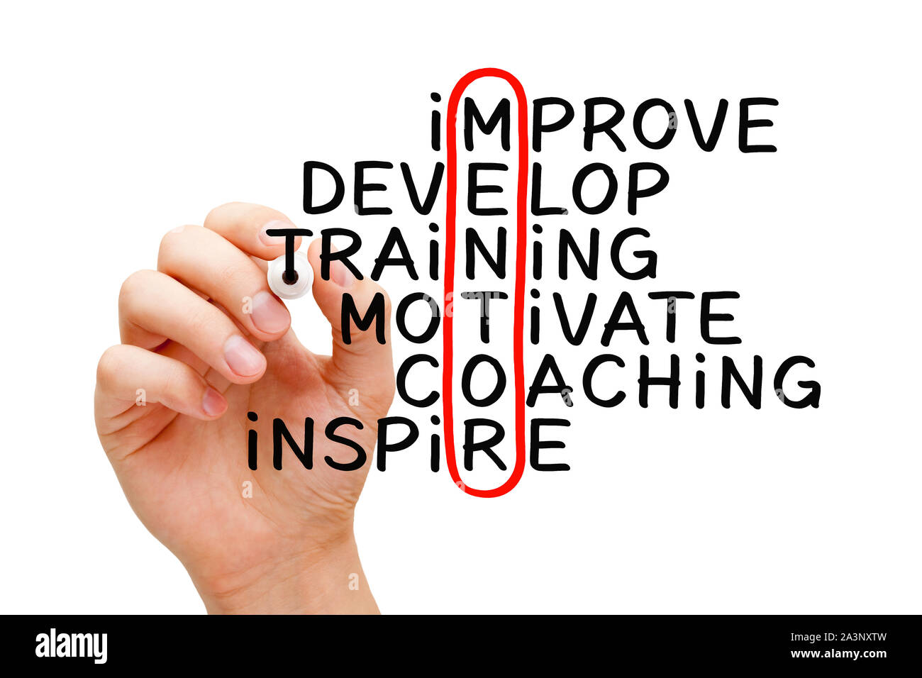 Hand writing Mentoring crossword concept with marker on transparent