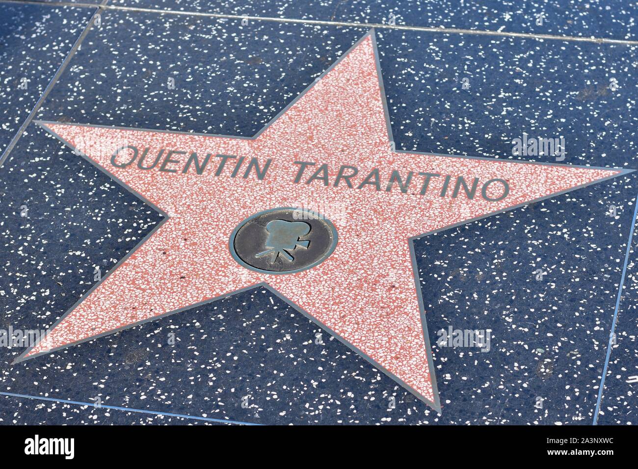 Quentin Tarantino star on the Hollywood walk of fame Stock Photo
