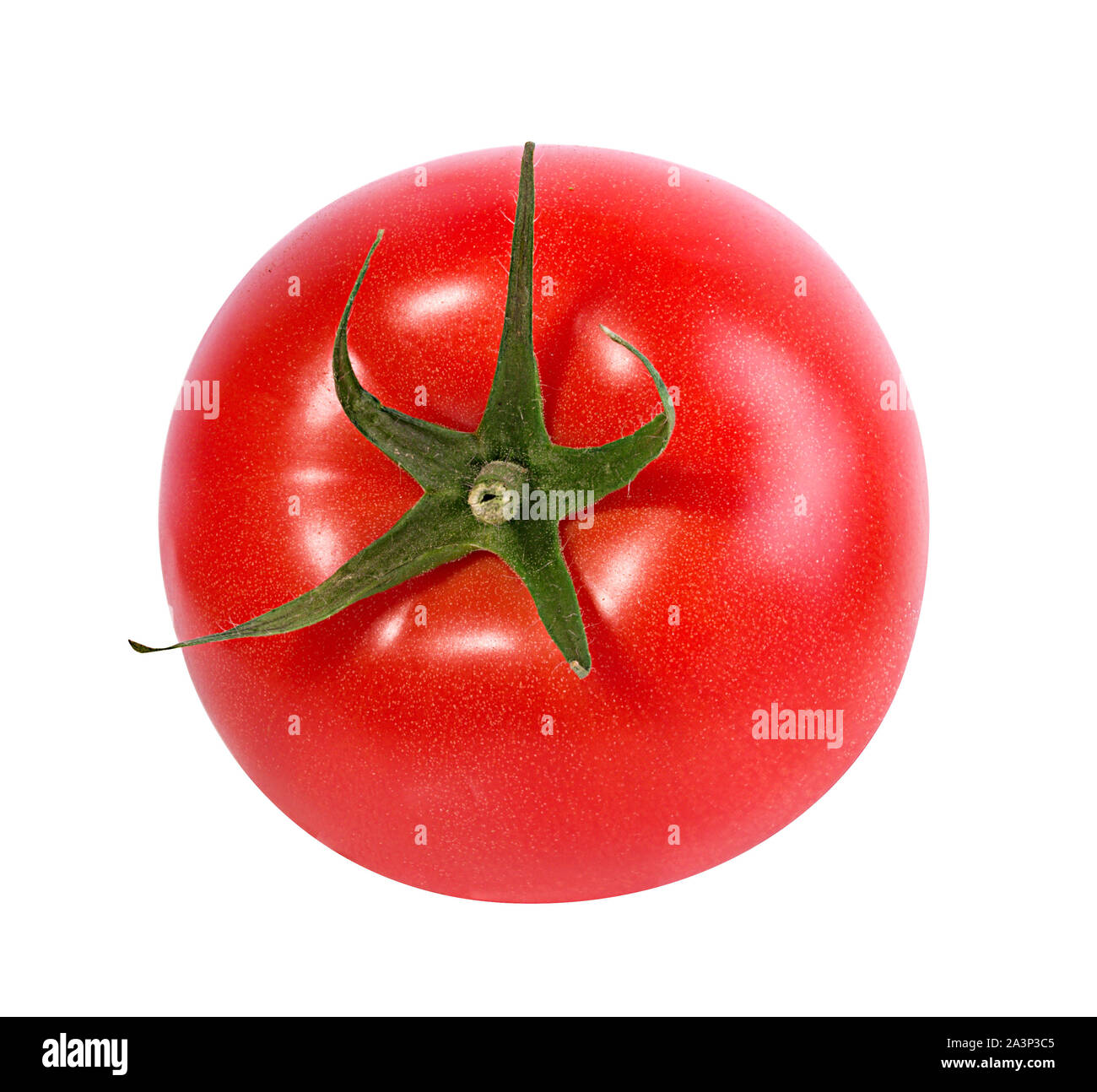 tomato isolated on white background Stock Photo - Alamy