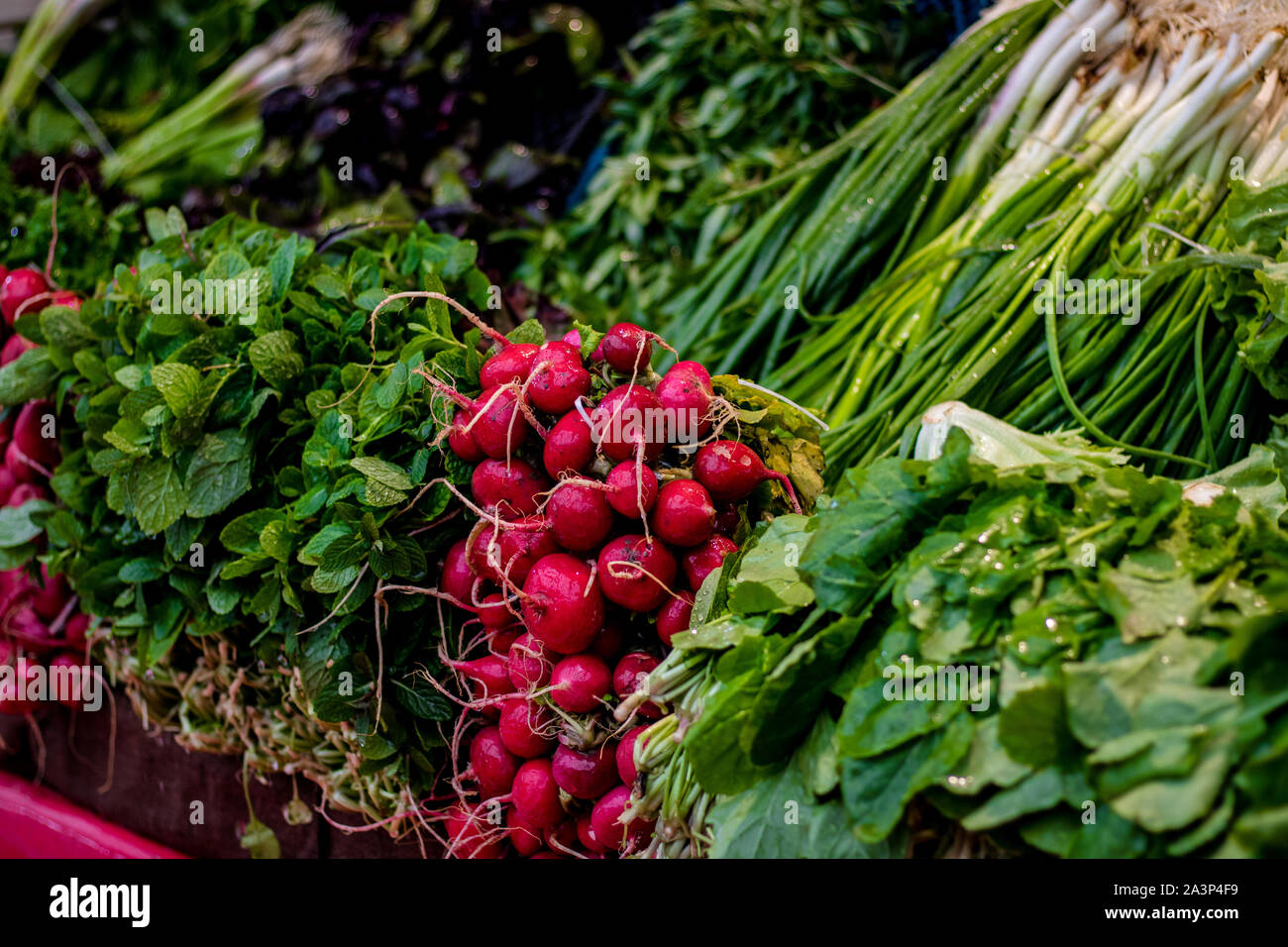Ogrish hi-res stock photography and images - Alamy