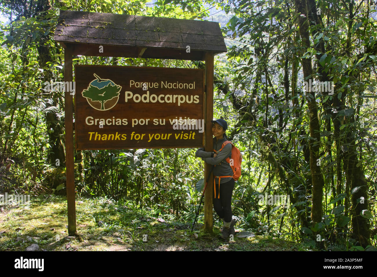Trekker in Podocarpus National Park, Zamora, Ecuador Stock Photo