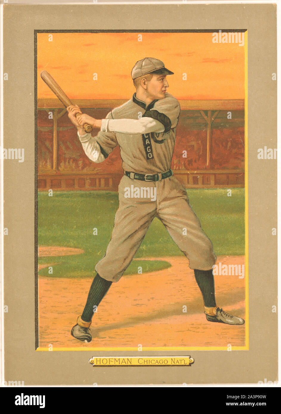 Solly Hofman, Chicago Cubs, baseball card portrait Stock Photo