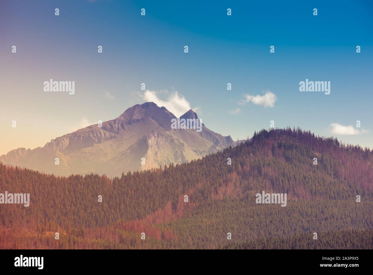 Hawran Hawran hi-res stock photography and images - Alamy