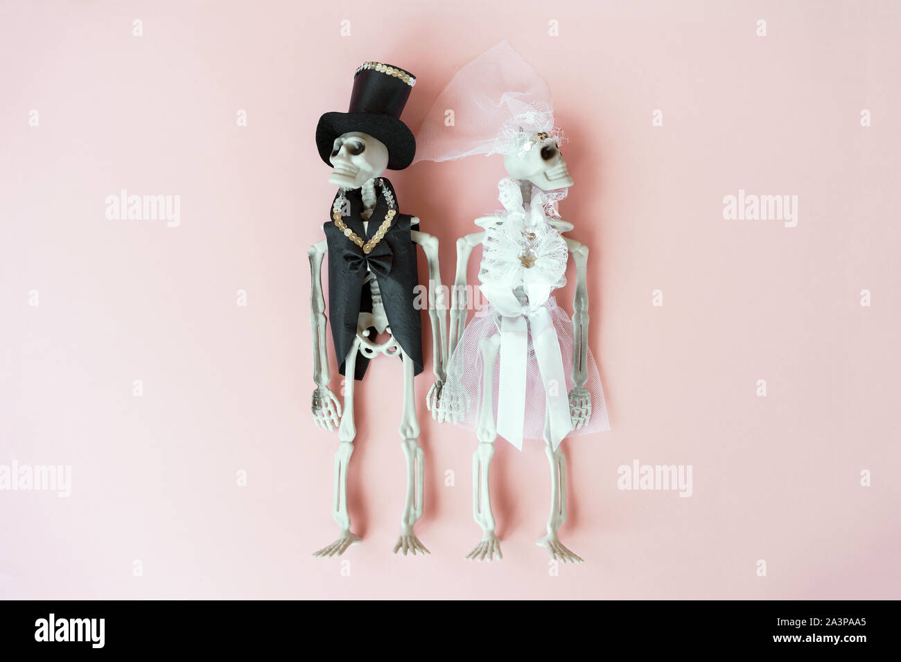 The skeletons in the bride groom wedding dress on the pale pink background. Stock Photo