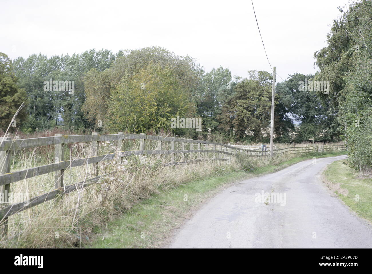 Narrow Winding Country Road with Wooden Fencing and Grass Verges Stock Photo