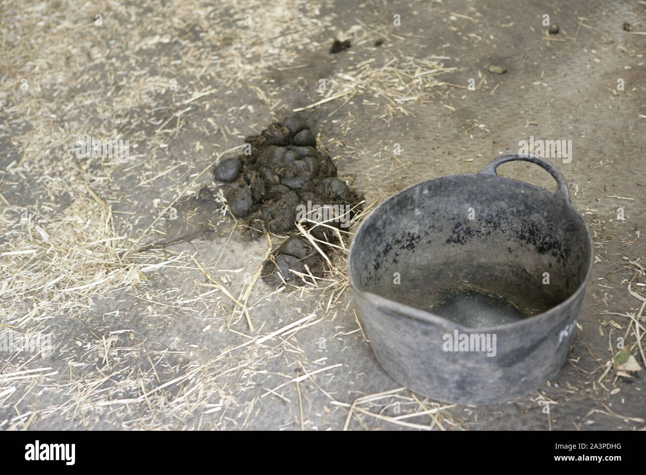 Manure Next to Feed Bucket in Stable Stock Photo